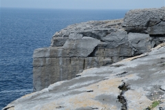 Cliffs Edge, The Burren in Clare