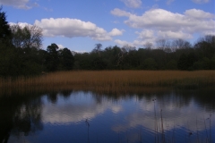 Lake in Emo Court, Co. Laois