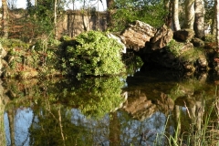 Bridge over a Man made lake