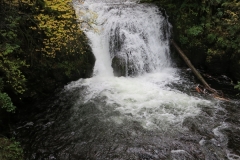waterfall in Oregon