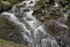 waterfall in Oregon