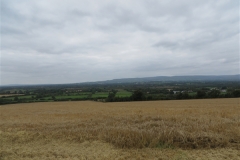 Field of Barley ripe for harvest with the Slieve bloom mountains in the background