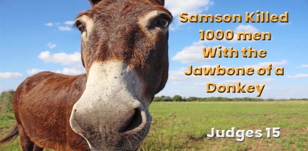 Samson Killed 1,000 men with a Donkeys Jawbone - Judges 15