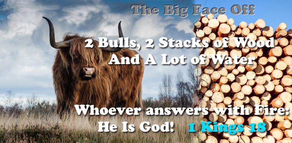 The Big Face Off: 2 bulls, 2 stacks of Wood & a lot of water - Whoever answers with Fire, He is God - 1 Kings 18