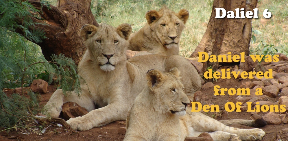 Daniel Was delivered from a Den of Lions - Daniel 6